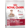 Royal Canin MEDIUM STARTER MOTHER & BABYDOG